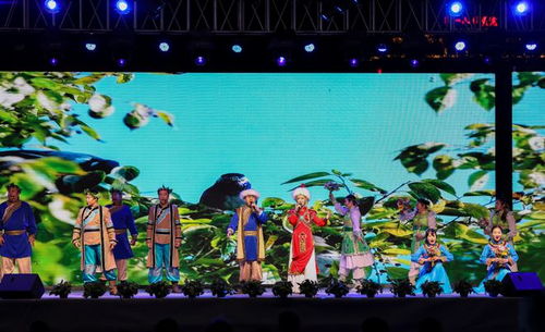 黑龙江省第四届社区文化艺术节展演活动在黑河市举办