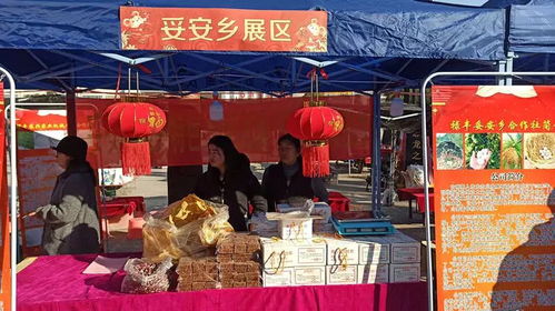 禄丰县2020年 精准扶贫电商年货 购物节暨绿色食品产销对接活动在恐龙文化艺术广场举行